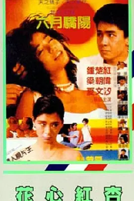 中文字幕精品视频