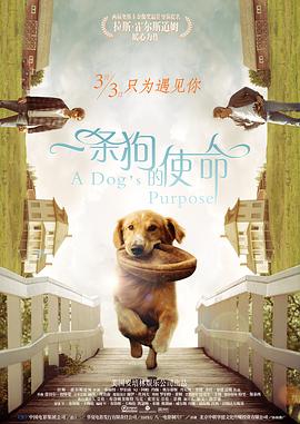 久久视频一区
